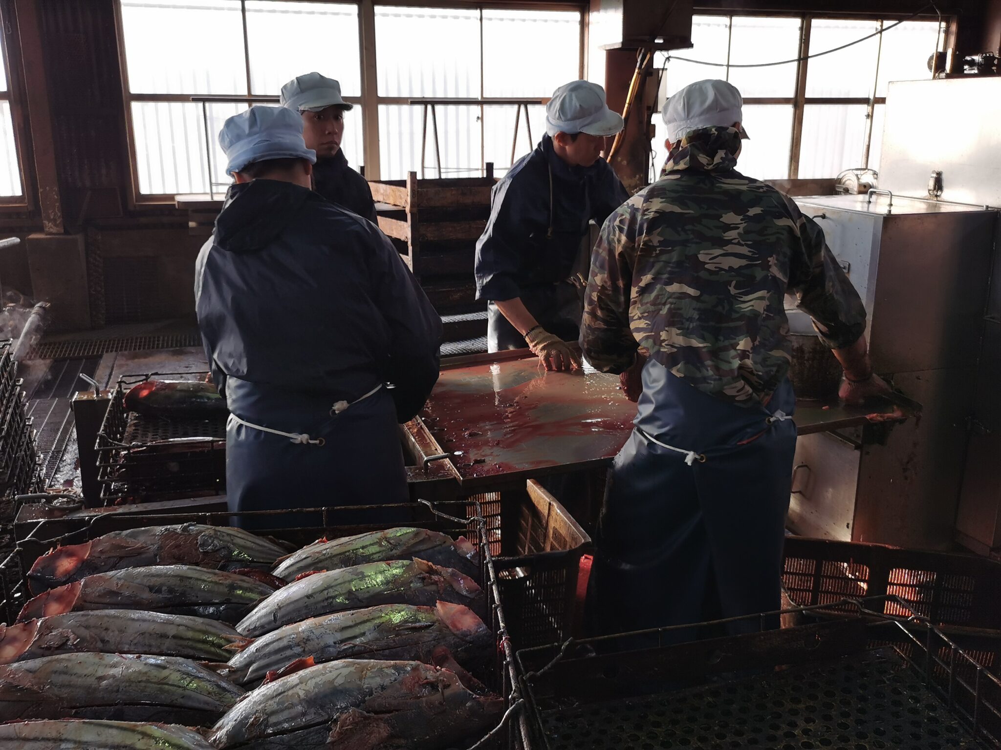 カツオ節の製造工程を視察 Kosher Bonito Flakes コーシャジャパン株式会社